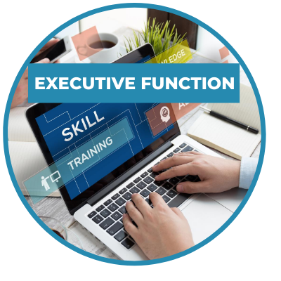 Building on Executive Function Skills